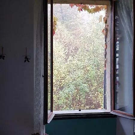 Il Gatto Nero B&B 카스텔베카나