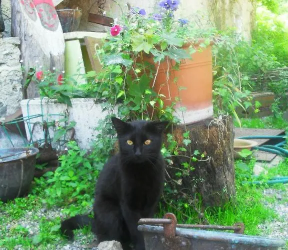 Frühstückspension Il Gatto Nero