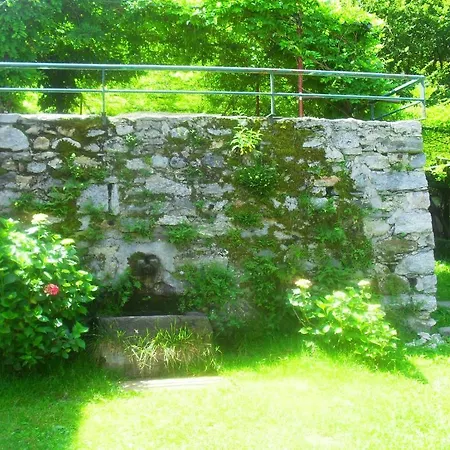 Il Gatto Nero Bed & Breakfast *