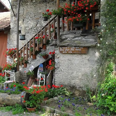 Bed and Breakfast Il Gatto Nero *