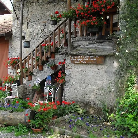 Bed & Breakfast Il Gatto Nero *