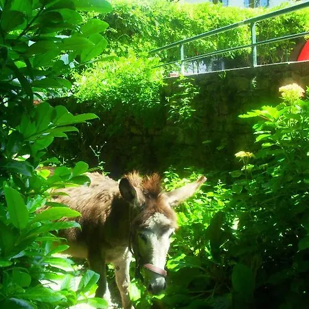 Bed and Breakfast Il Gatto Nero Castelveccana