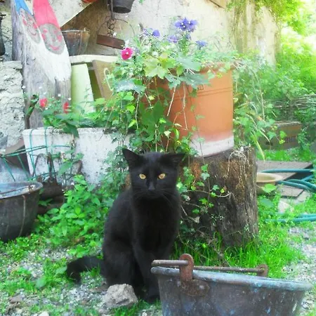 Bed and Breakfast Il Gatto Nero