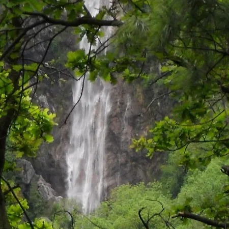 Il Gatto Nero Bed and Breakfast *