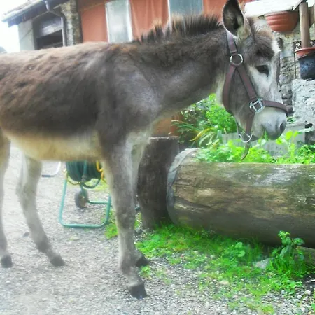 Bed and Breakfast Il Gatto Nero Castelveccana