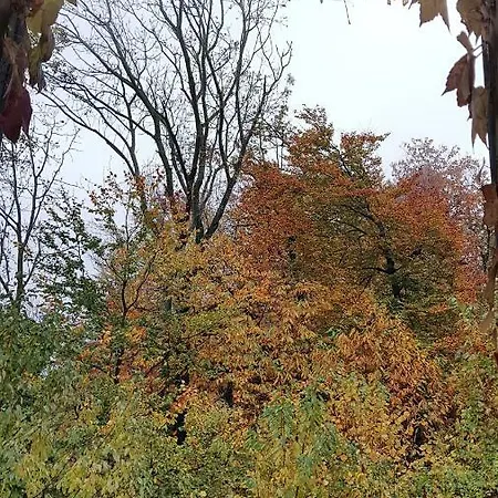 Il Gatto Nero Bed and Breakfast *