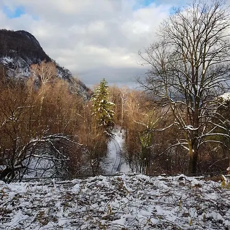 Il Gatto Nero Bed and Breakfast *