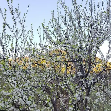 Il Gatto Nero Bed and Breakfast Castelveccana