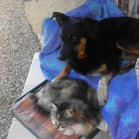 Bed and Breakfast Il Gatto Nero