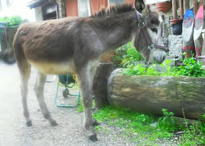 Nocleg ze śniadaniem Il Gatto Nero Castelveccana